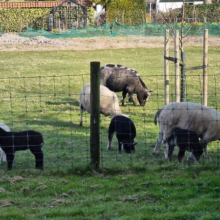 Hemmer Hoeve Esterno foto