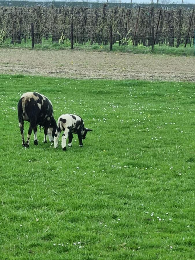 Hemmer Hoeve Esterno foto