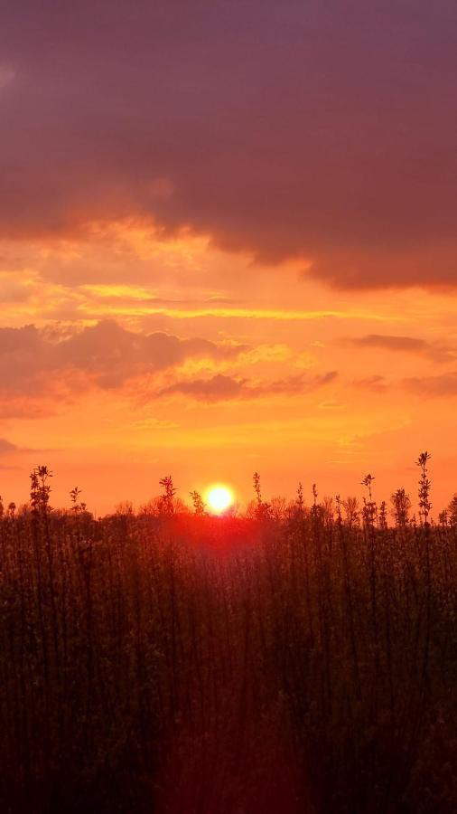 Hemmer Hoeve Esterno foto