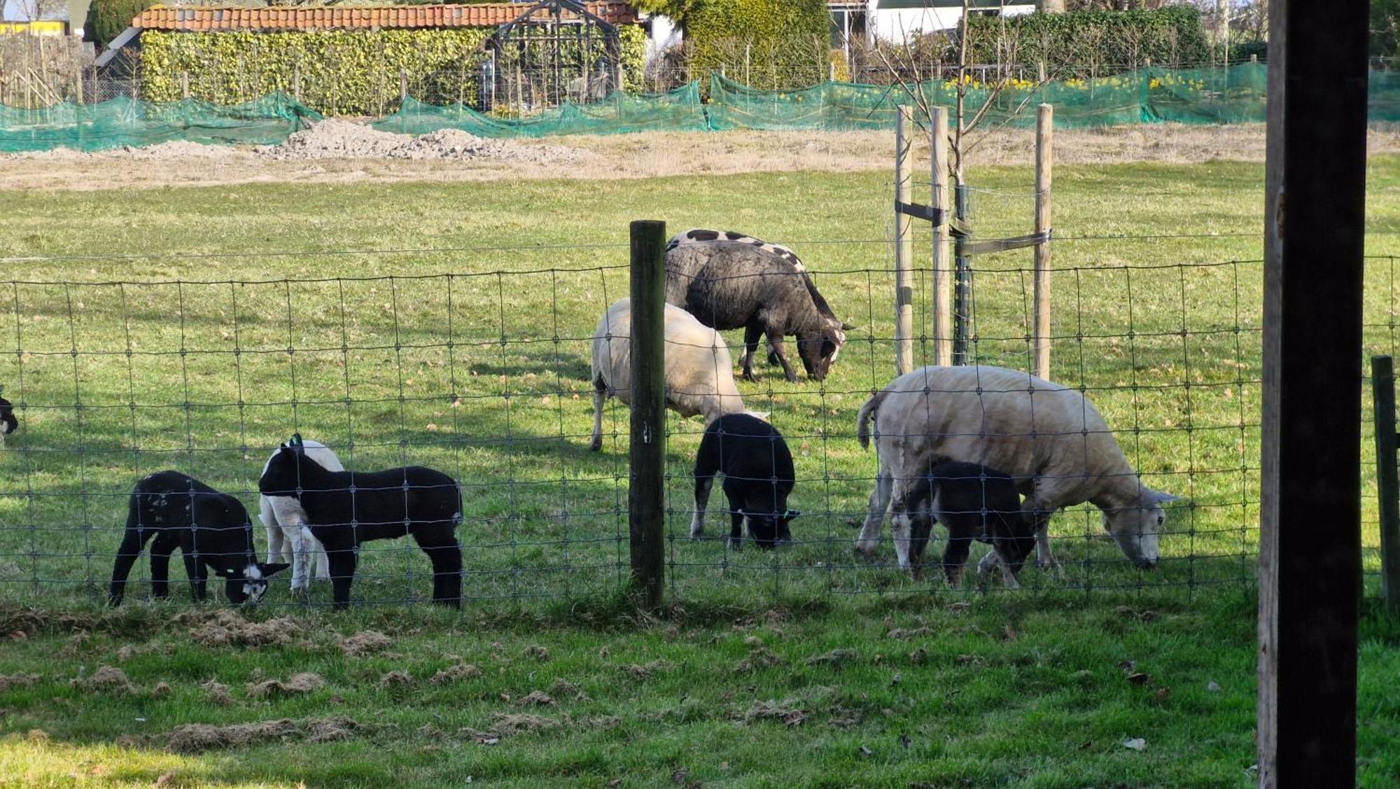 Hemmer Hoeve Esterno foto